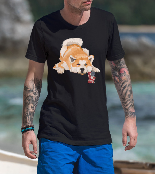 Akita Dog Lover With American Flag Motif T-Shirt