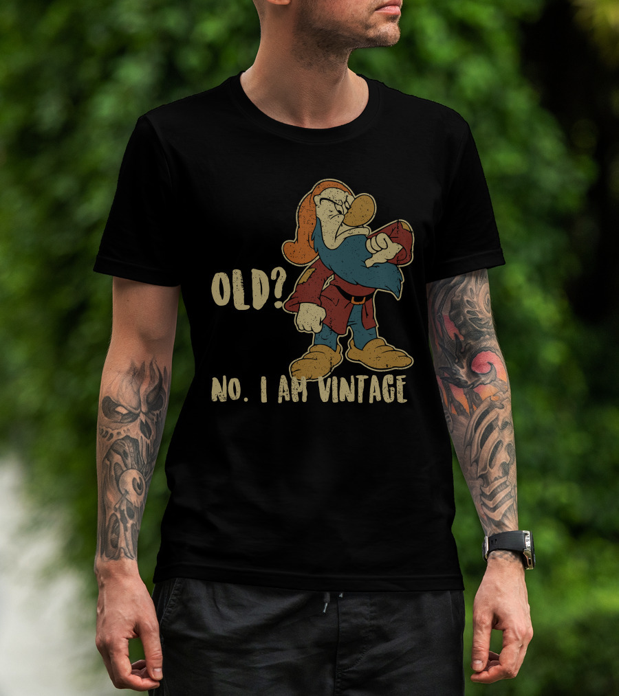 Grumpy Old? No. I Am Vintage T-Shirt