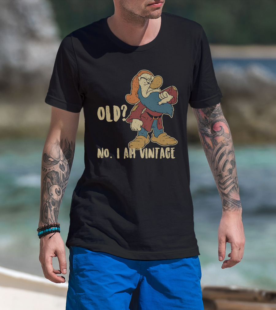 Grumpy Old? No. I Am Vintage T-Shirt