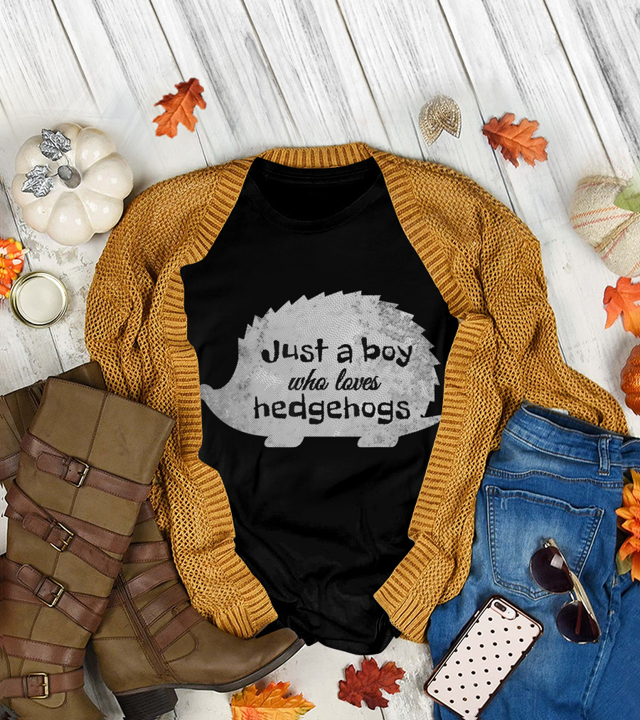 Just a Boy Who Loves Hedgehogs Hedgehog T-Shirt