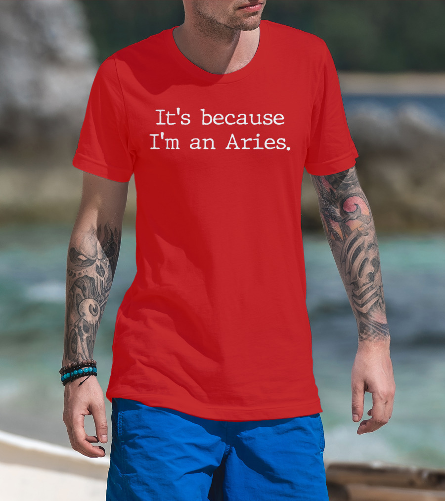 It's Because I'm An Aries Horoscope Gifts Women Girls Men Zodiac Sign Astrology T-Shirt