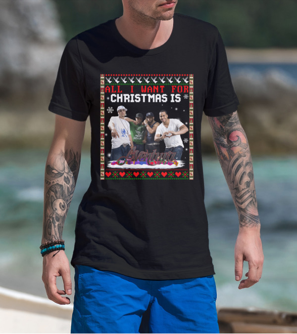 All I Want For Christmas Is Aventura Celebration With Snowflakes And Festive Border T-Shirt