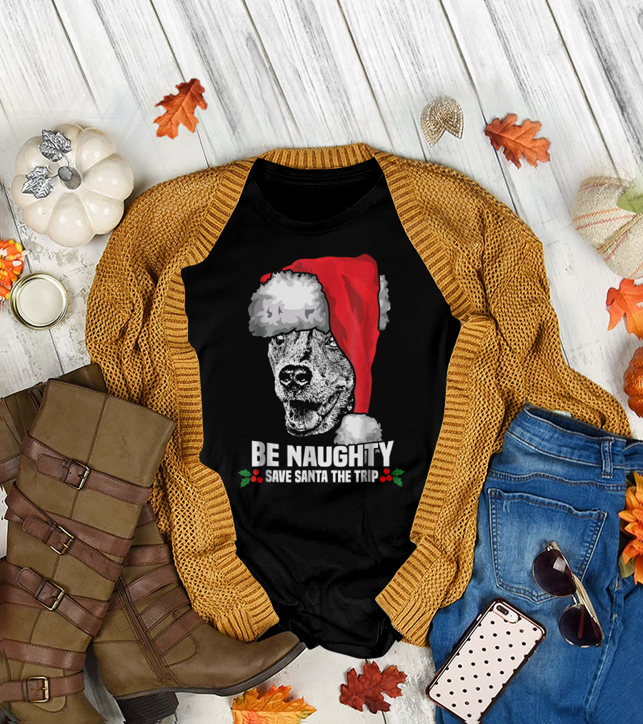 Be Naughty Save Santa the Trip Catahoula Leopard Dog Santa Hat T-Shirt