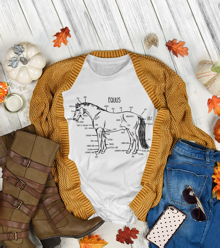 Horse Equestrian Anatomy Bowels Fetlock Withers Tail Hock Hoof Gaskin Mane Thigh Ribs Reins Pony Bridle Snaffle Saddle Pommel Rug Poll Back Muzzle Cro