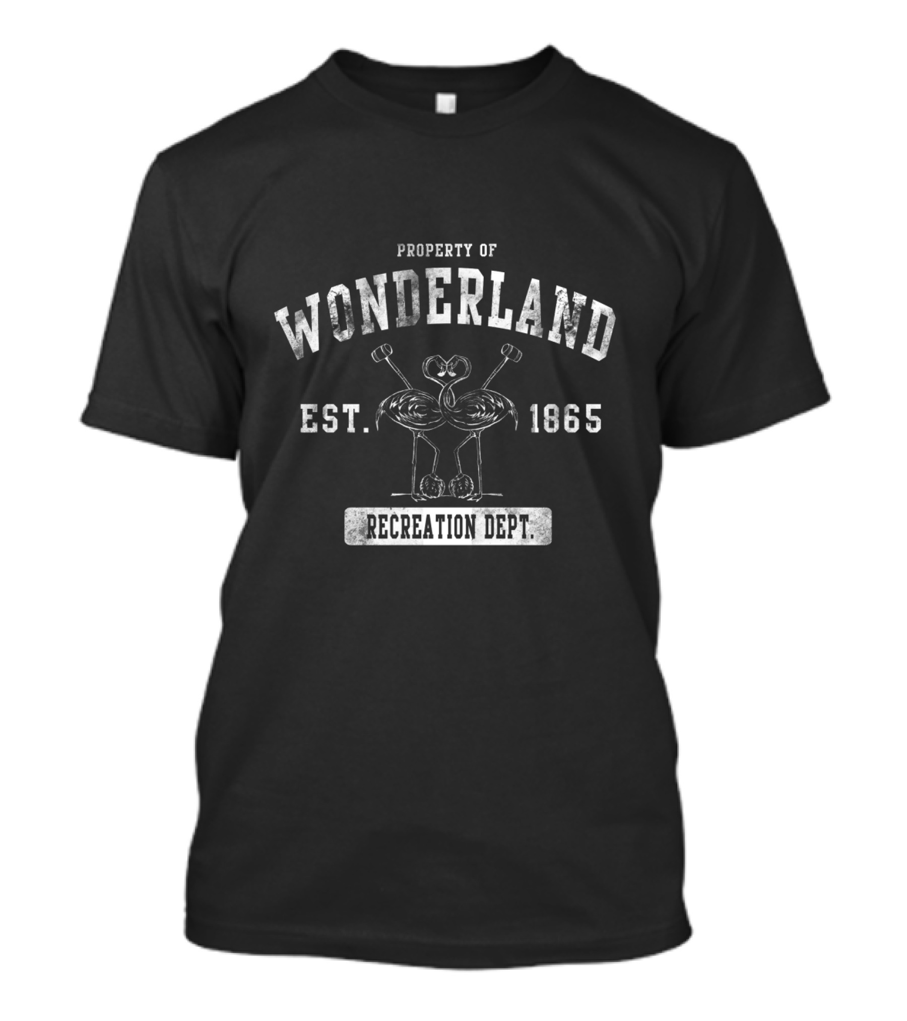 Property Of Wonderland Recreation Dept Est. 1865 Croquet Flamingos T-Shirt