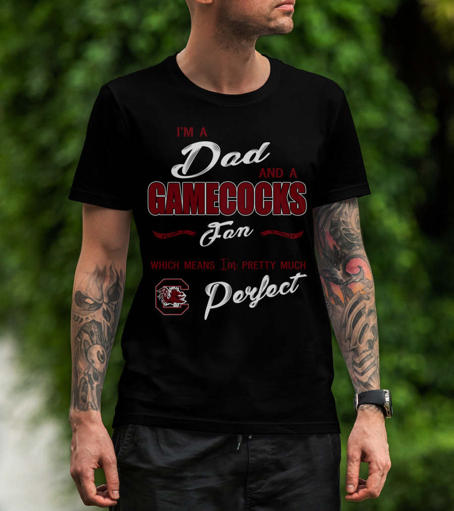 I'm A Dad And A Gamecocks Fan Which Means I'm Pretty Much Perfect T-Shirt