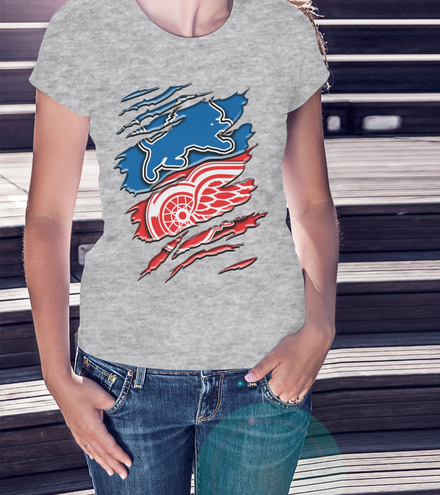 Detroit Red Wings Buffalo Sabres Vintage Mashup T-Shirt