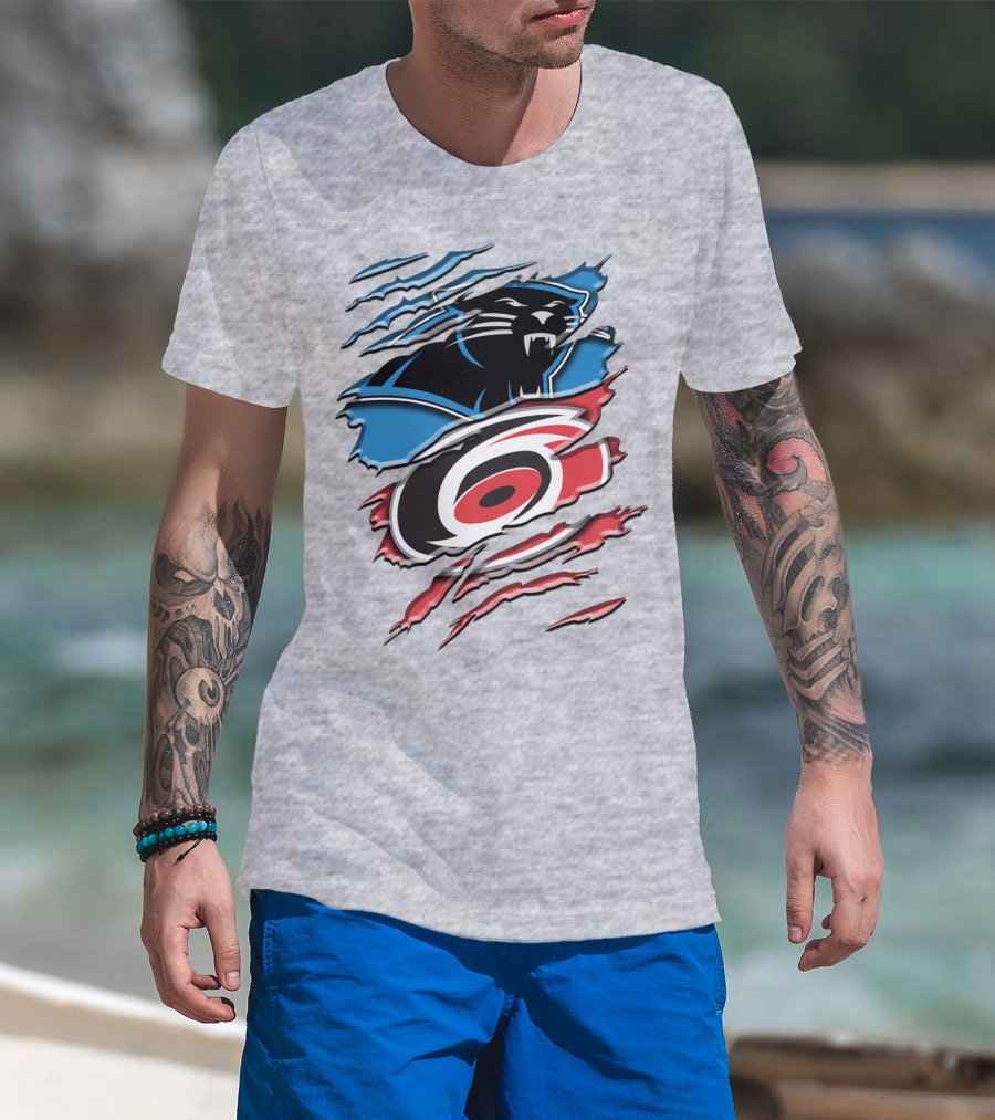 Carolina Panthers And Hurricanes Claw T-Shirt