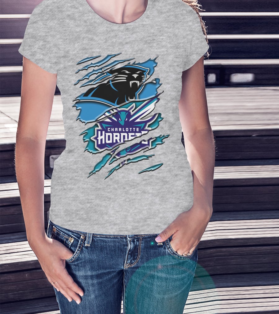 Panther And Charlotte Hornets Logo Rah T-Shirt