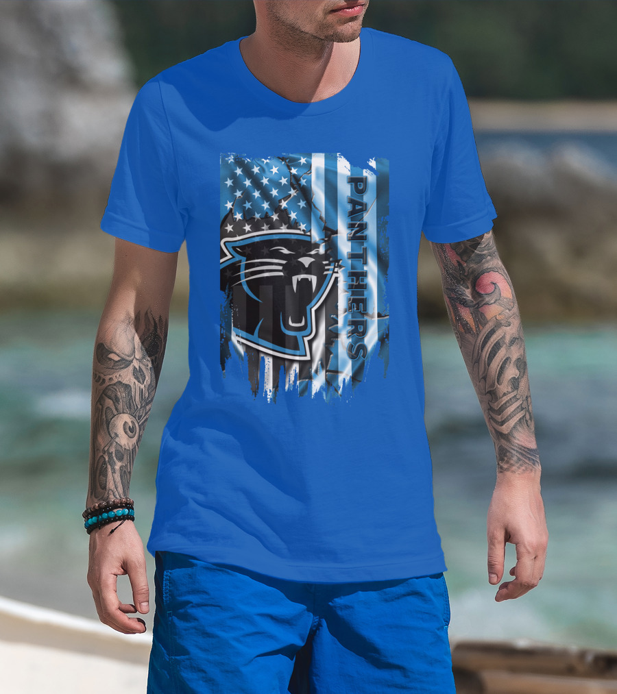 Panthers American Flag Stars And Stripes T-Shirt