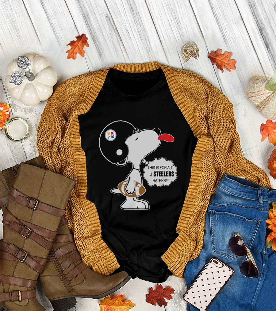 This Is For All U Steelers Haters!!! T-Shirt