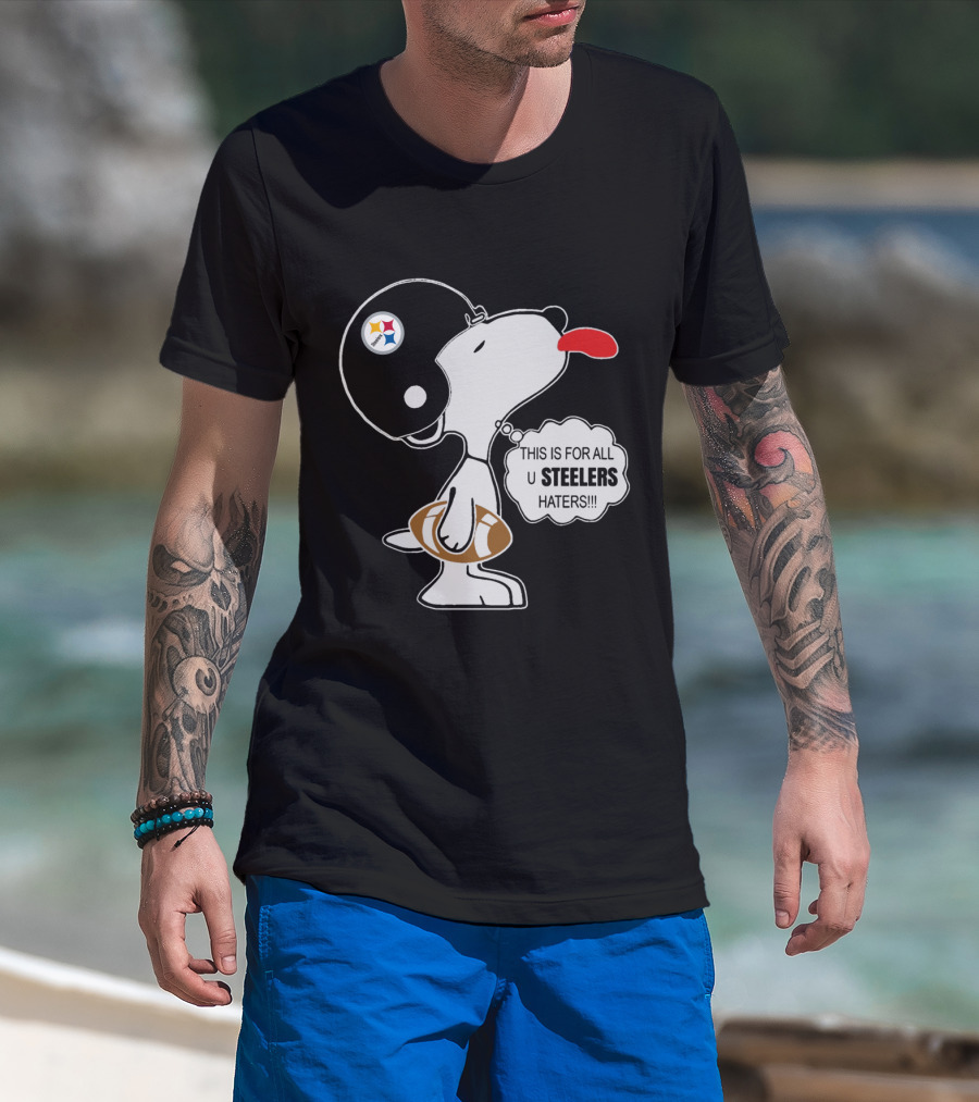 This Is For All U Steelers Haters!!! T-Shirt