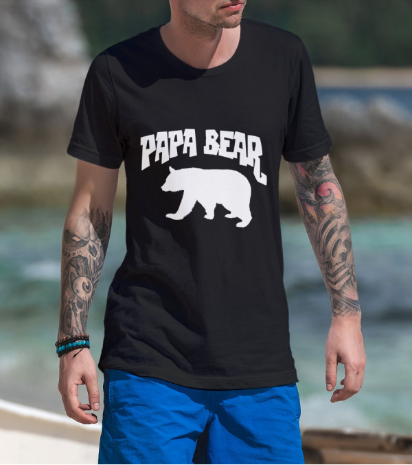 Papa Bear Baby Bear Fathers Dad Son Daughter Matching Cute Funny T-Shirt