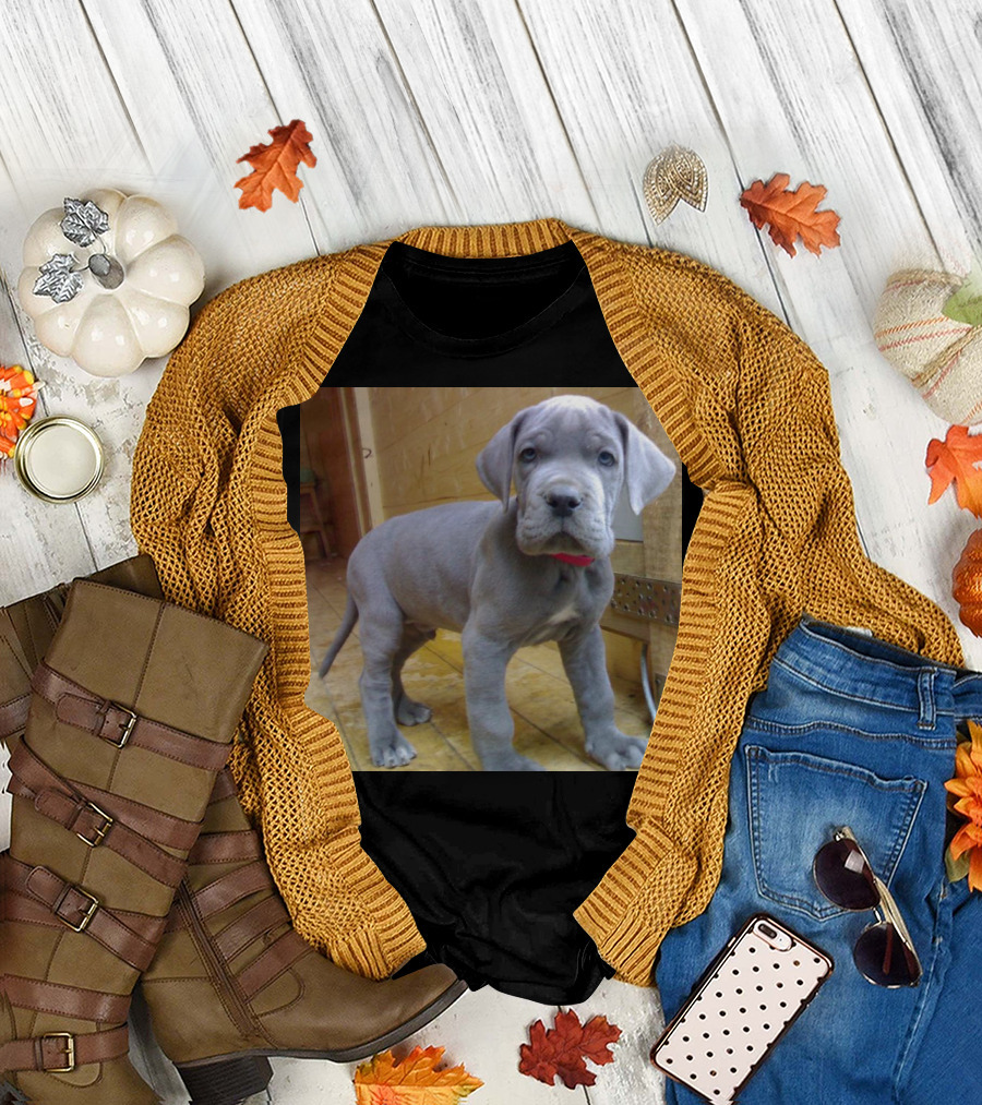 Adorable Blue Great Dane Puppy with Red Collar T-Shirt
