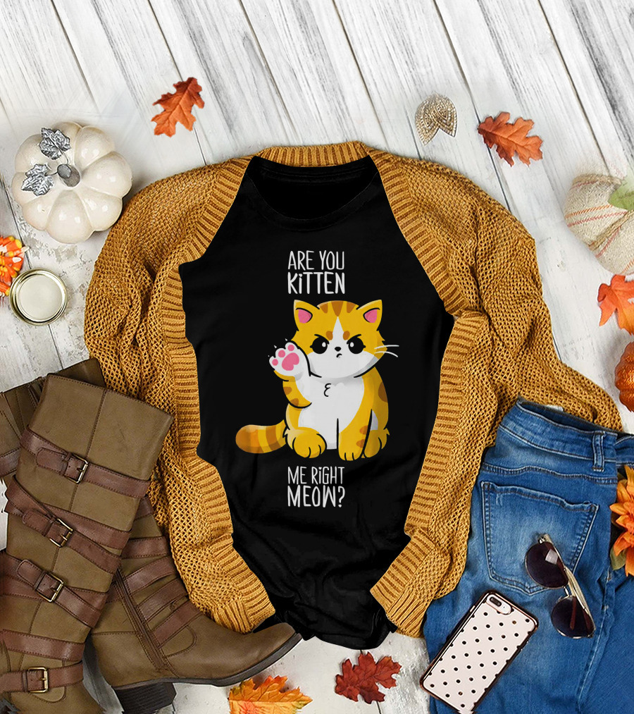 Are You Kitten Me Right Meow Cute Cat T-Shirt