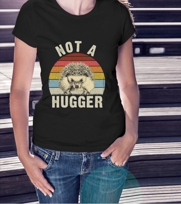 Not A Hugger Funny Hedgehog Sarcastic Retro Sunset Stripes T-Shirt