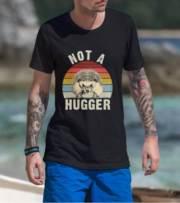 Not A Hugger Funny Hedgehog Sarcastic Retro Sunset Stripes T-Shirt