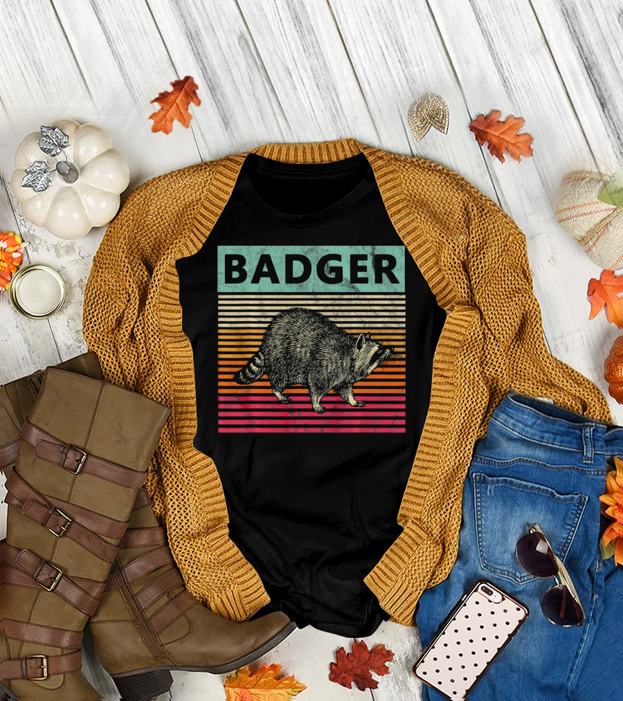 BADGER Retro Vintage Wisconsin Stripes T-Shirt