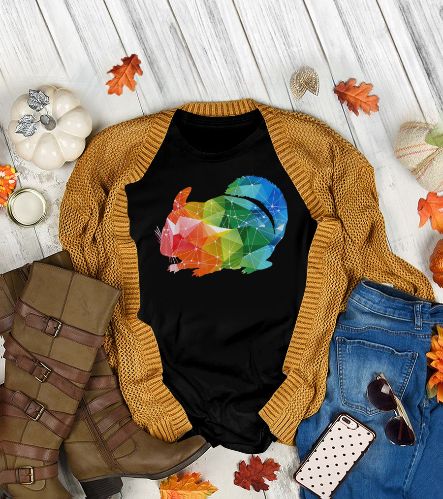 Vibrant Geometric Rainbow Chinchilla T-Shirt