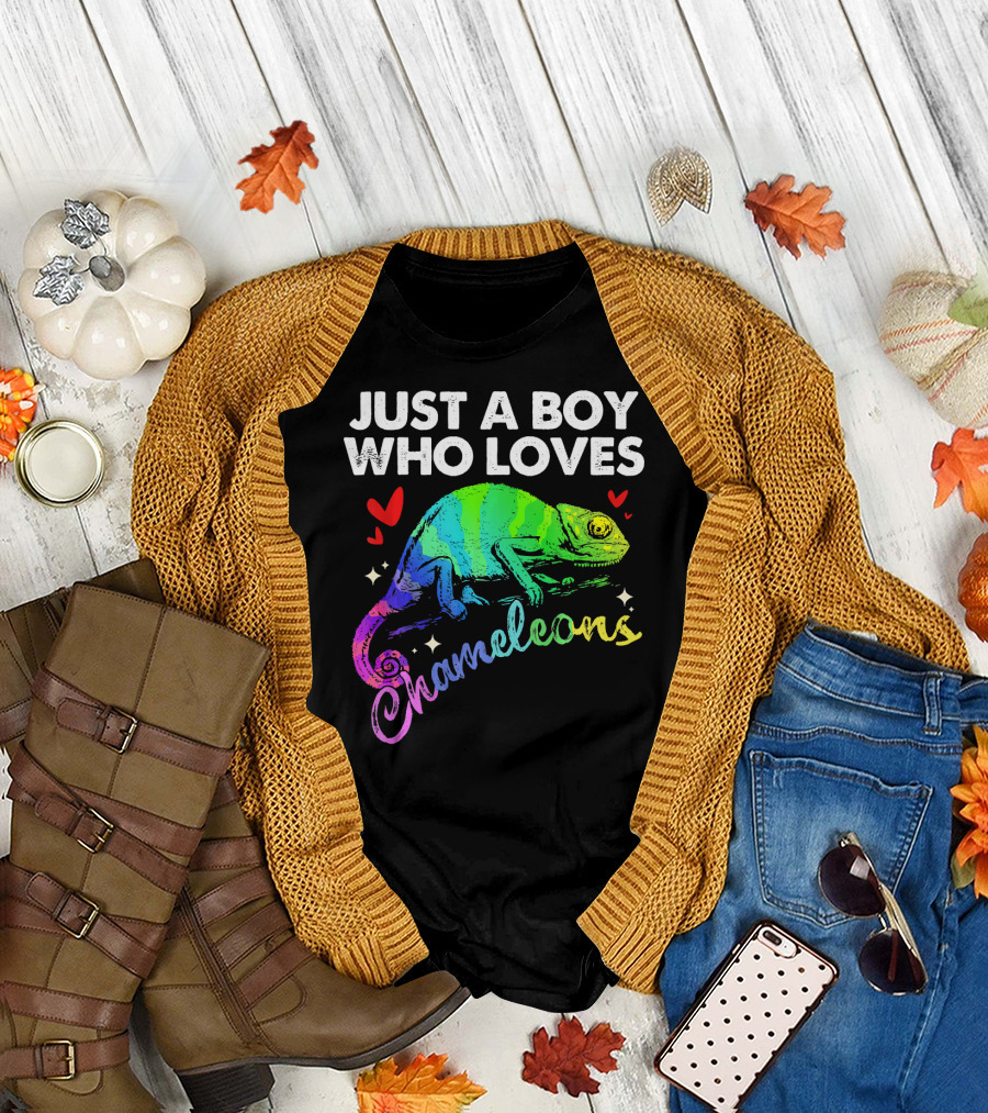 Just A Boy Who Loves Colorful Chameleons and Hearts T-Shirt