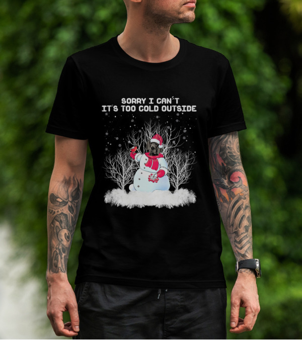 Great Dane Sorry I Can't It's Too Cold Outside Snowman T-Shirt