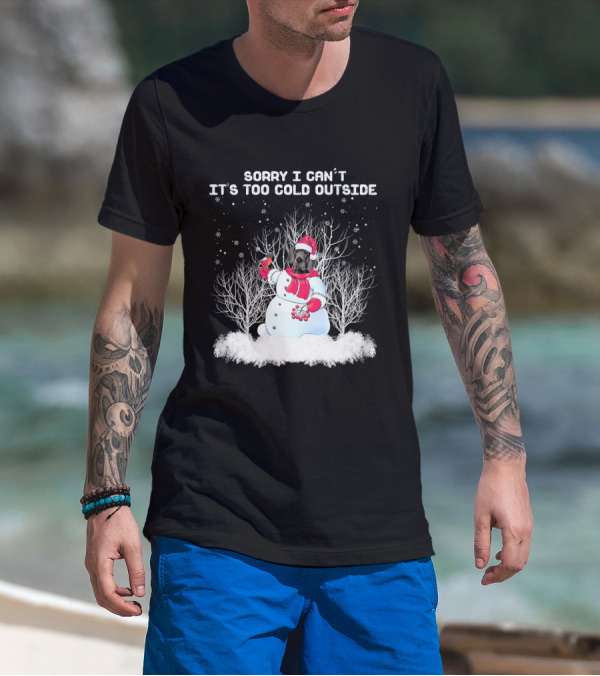 Great Dane Sorry I Can't It's Too Cold Outside Snowman T-Shirt