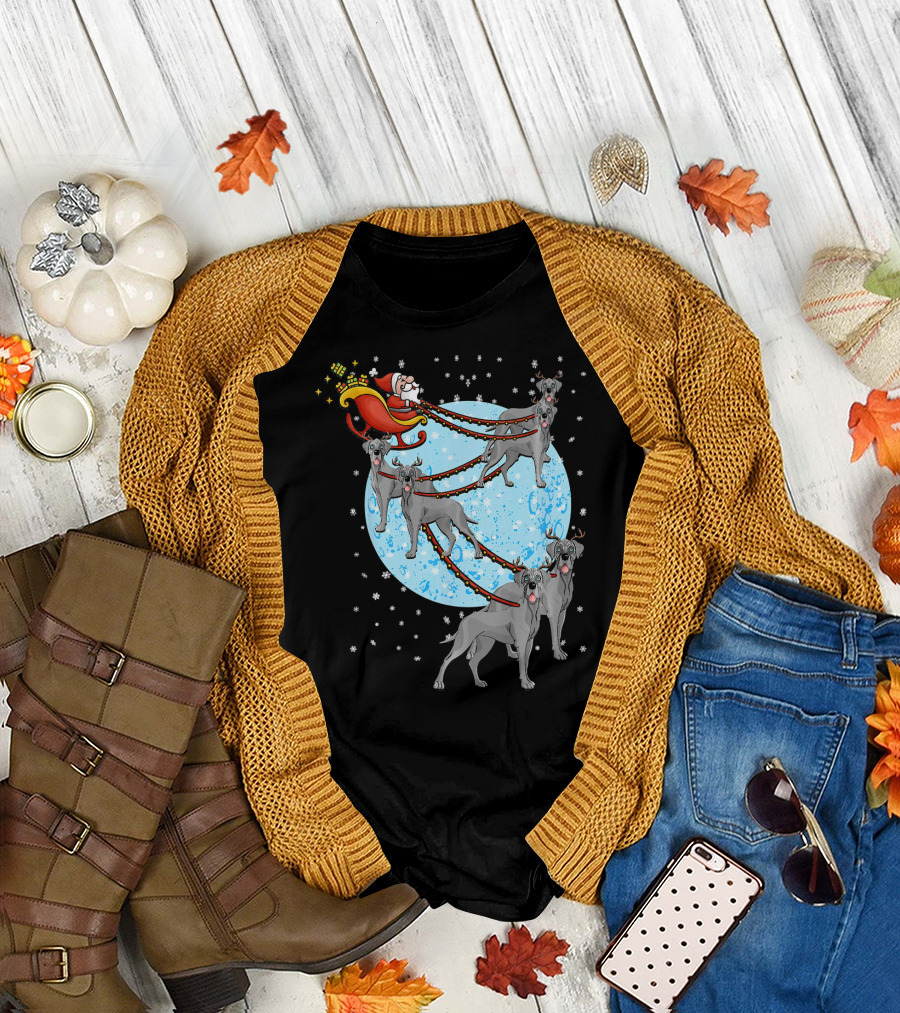 Great Dane Santa Sleigh Christmas Dog Moon Snowflakes T-Shirt