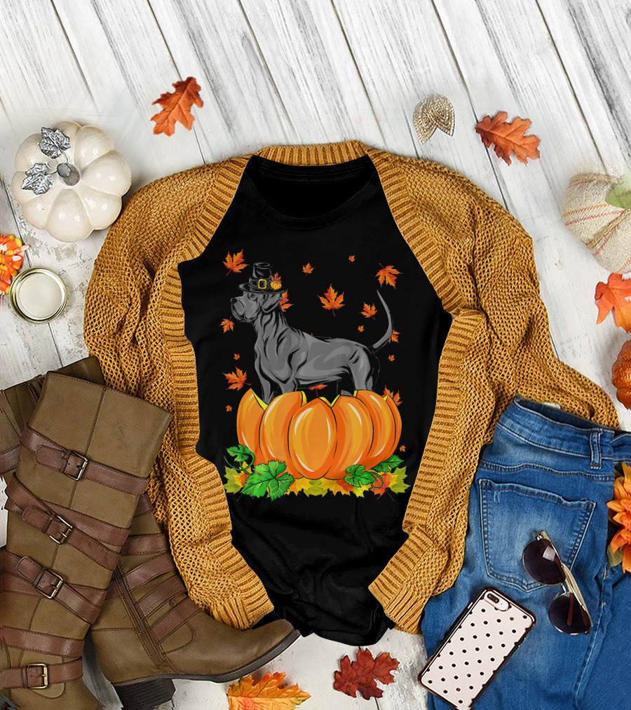 Thanksgiving Great Dane Dog with Pilgrim Hat and Pumpkins T-Shirt