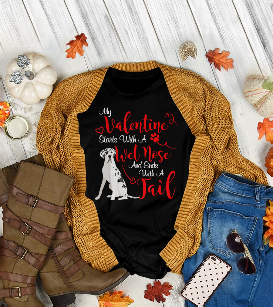 My Valentine Starts With A Wet Nose And Ends With A Tail Great Dane Harlequin T-Shirt