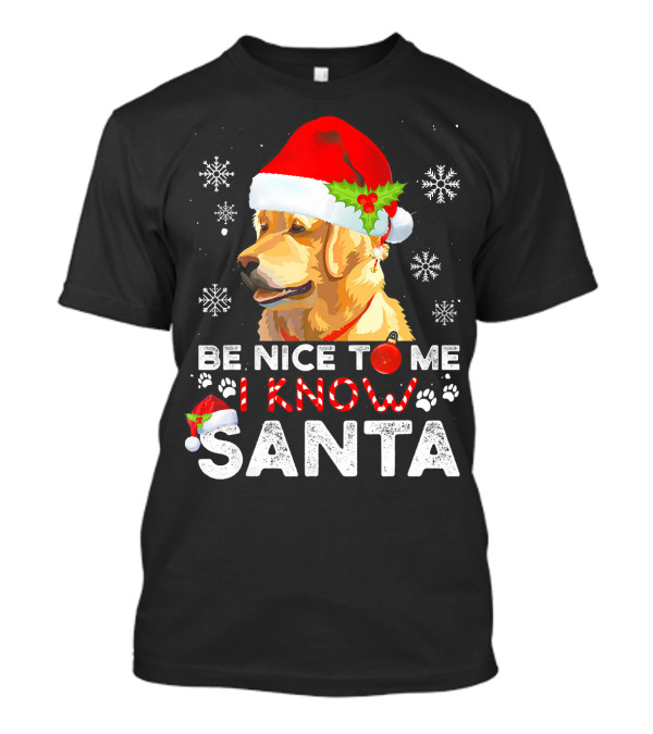 Be Nice To Me I Know Santa Golden Retriever With Santa Hat And Snowflakes T-Shirt