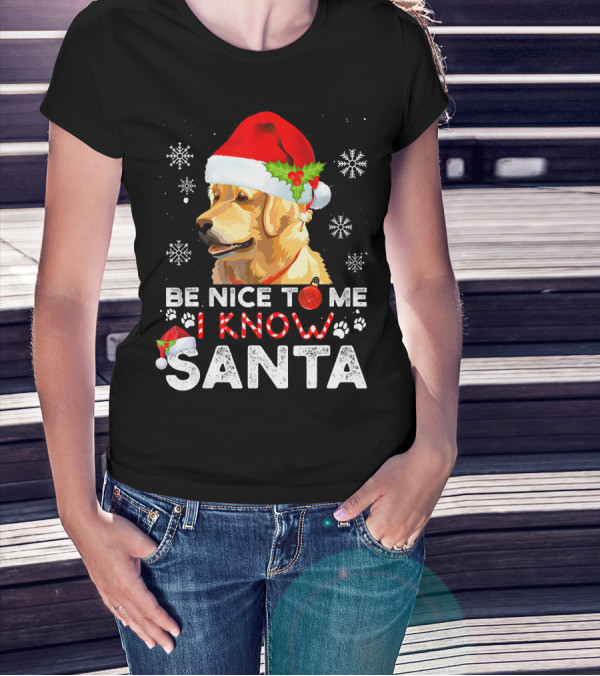 Be Nice To Me I Know Santa Golden Retriever With Santa Hat And Snowflakes T-Shirt