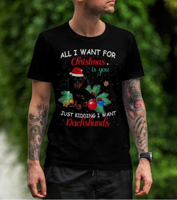 All I Want For Christmas Is You Just Kidding I Want Dachshunds T-Shirt