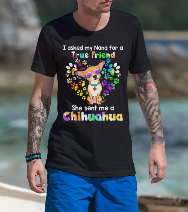 I Asked My Nana For A True Friend She Sent Me A Chihuahua T-Shirt