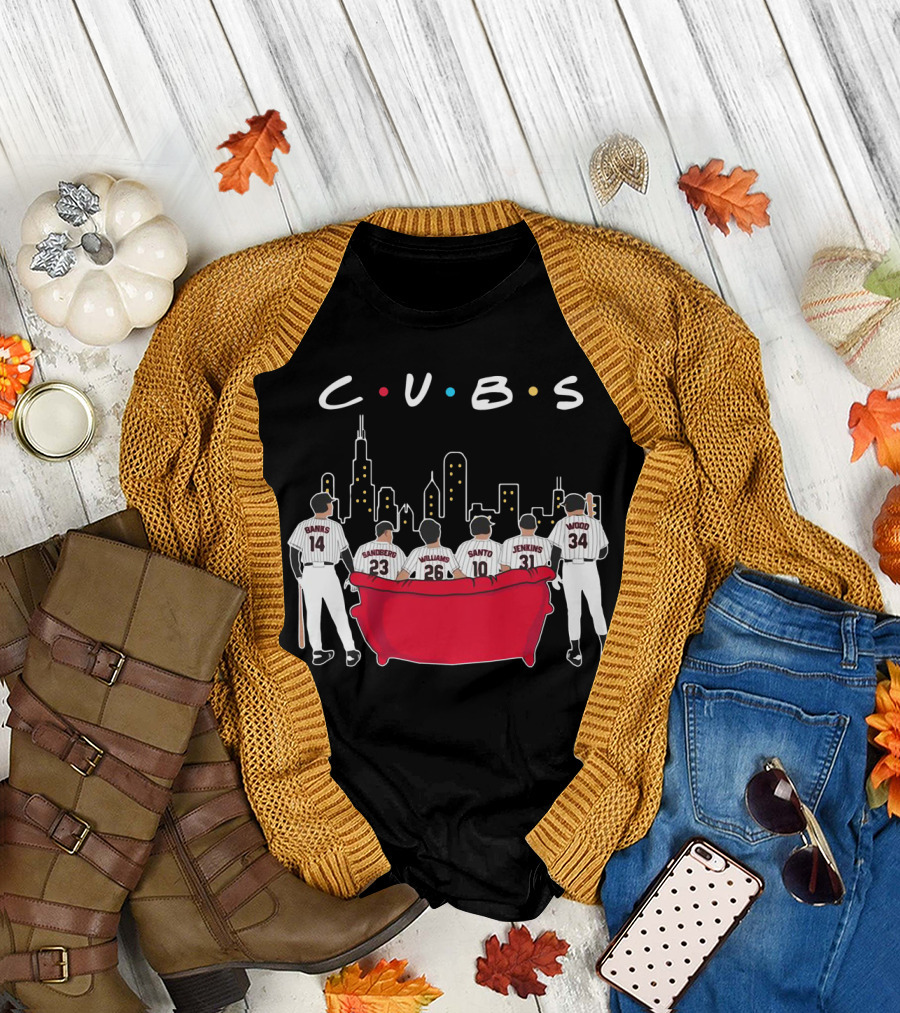 Cubs Friends Skyline Featuring Banks Sandberg Williams Santo Jenkins Wood T-Shirt