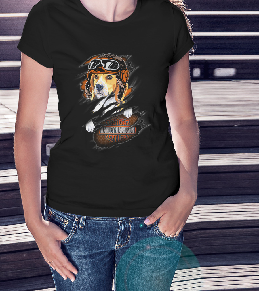 Beagle Wearing Aviator Helmet With Harley Davidson Cycles T-Shirt