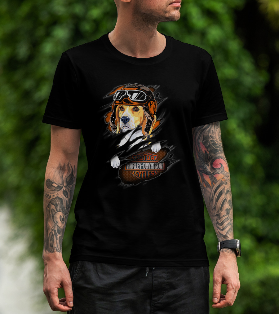 Beagle Wearing Aviator Helmet With Harley Davidson Cycles T-Shirt