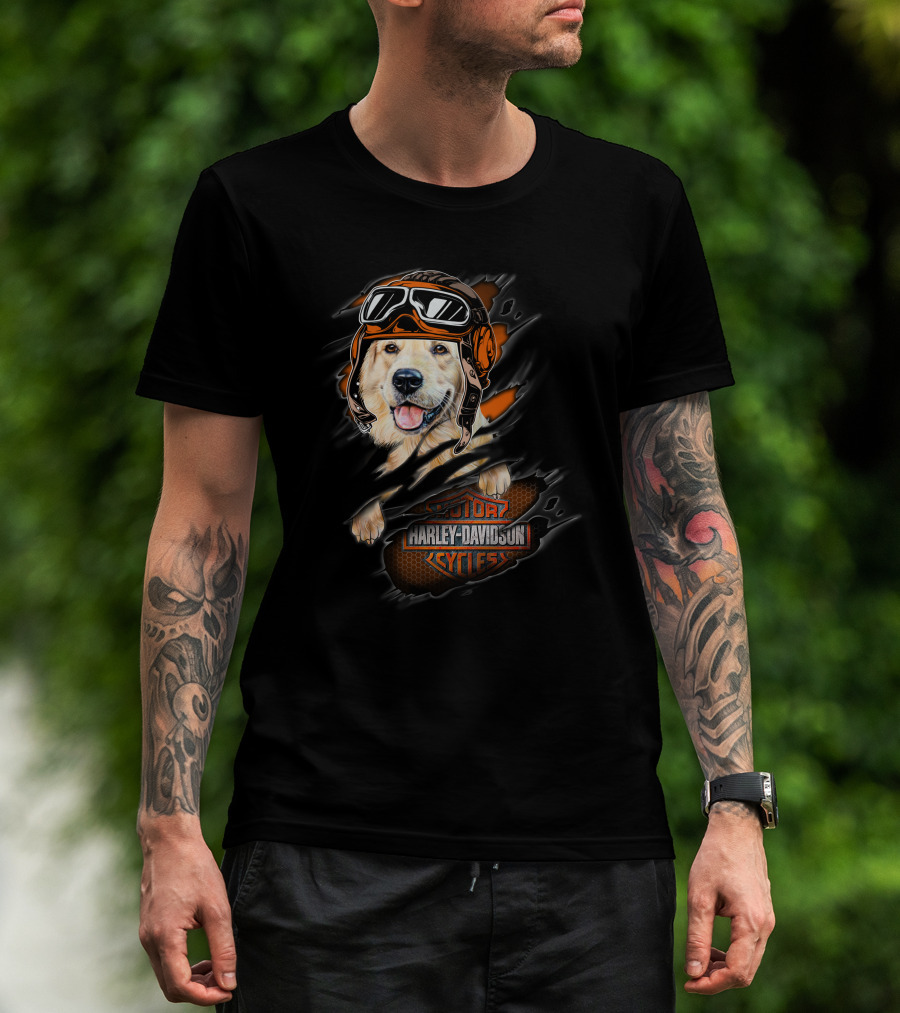 Golden Retriever Wearing Biker Helmet With Harley Davidson Motorcycles T-Shirt