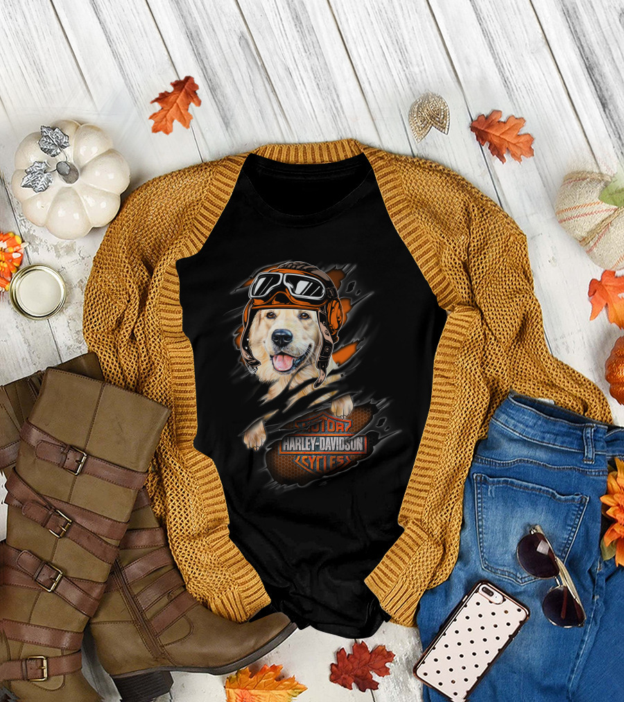 Golden Retriever Wearing Biker Helmet With Harley Davidson Motorcycles T-Shirt