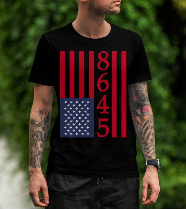 8645 American Flag Vertical Stripes Red White And Blue T-Shirt