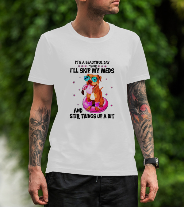 IT'S A BEAUTIFUL DAY I THINK I'LL SKIP MY MEDS AND STIR THINGS UP A BIT T-Shirt