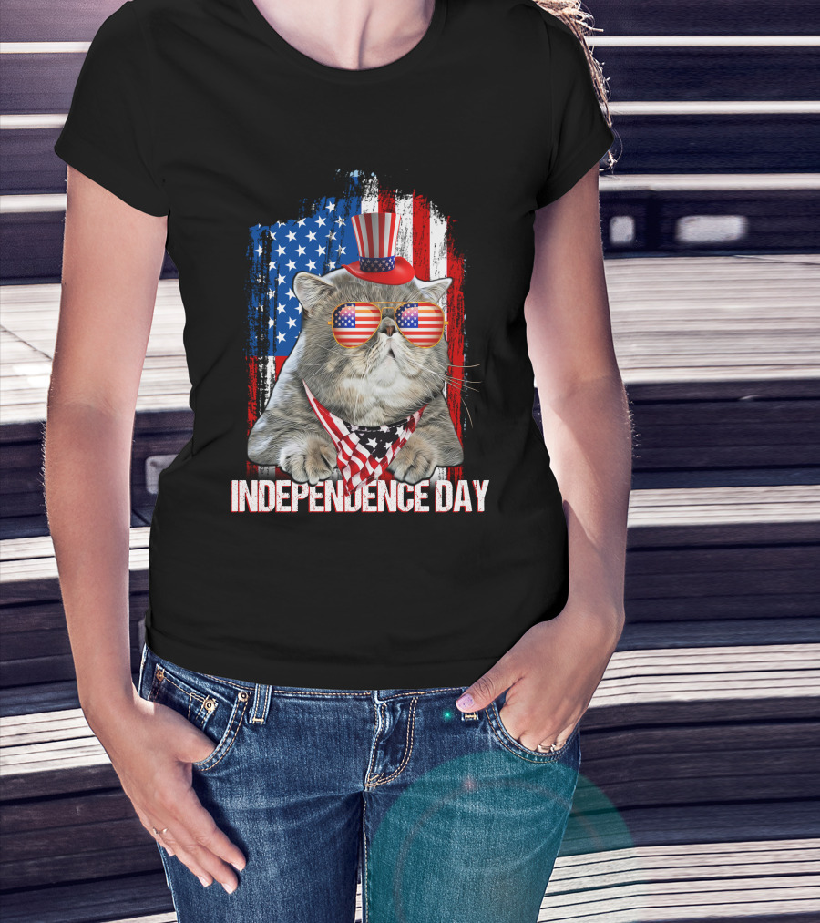 Independence Day Cat With American Flag Glasses And Top Hat T-Shirt