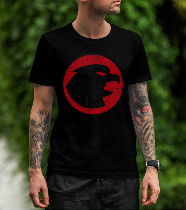 DC Comics Hawkgirl Red And Black T-Shirt