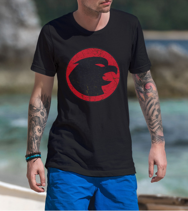 DC Comics Hawkgirl Red And Black T-Shirt