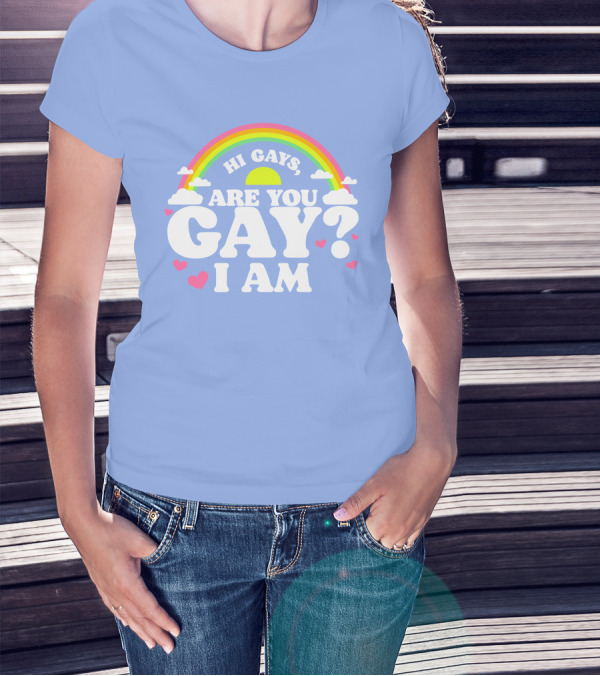 Chrissy Chlapecka Merch Hi Gays Are You Gay I Am With Rainbow And Hearts T-Shirt