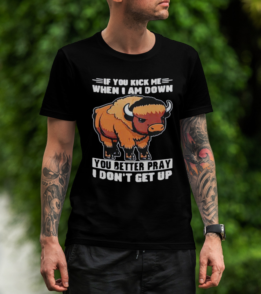 Buffalo If You Kick Me When I Am Down You Better Pray I Don’t Get Up T-Shirt