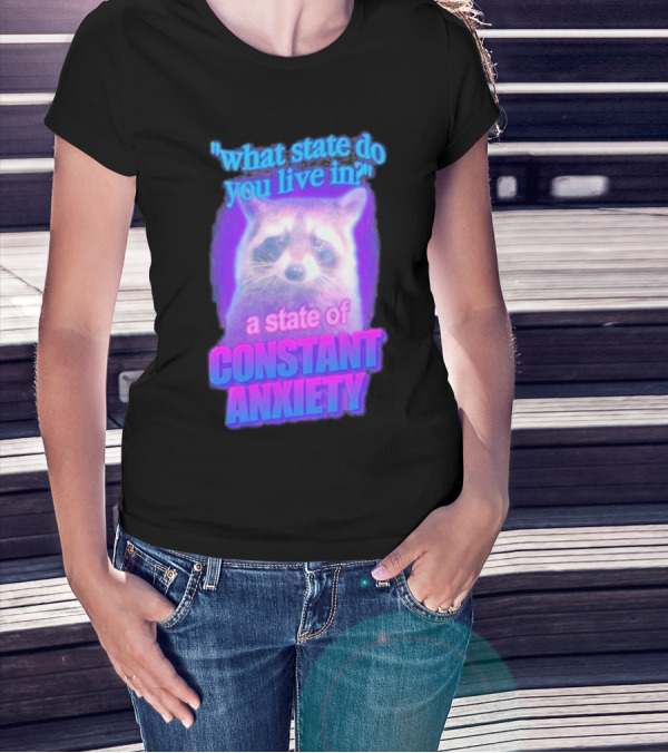 Raccoon In A State Of Constant Anxiety Meme T-Shirt