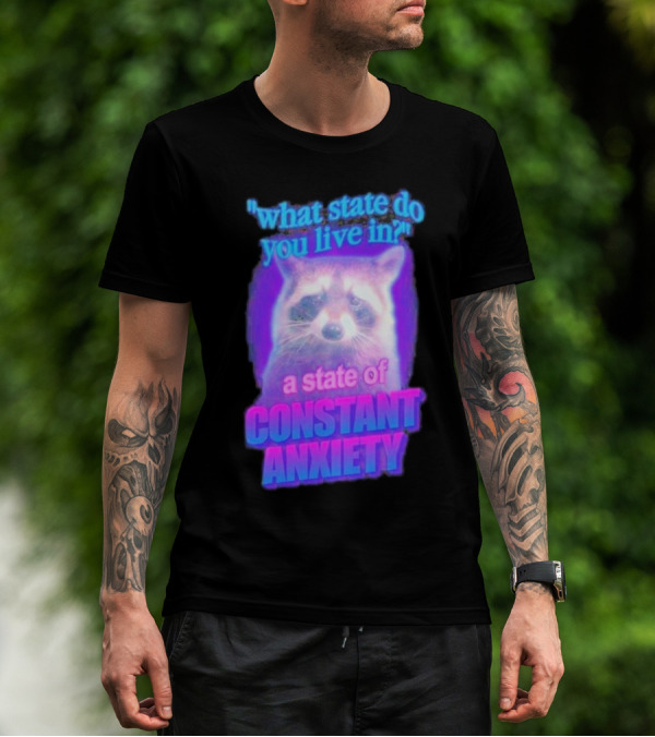 Raccoon In A State Of Constant Anxiety Meme T-Shirt