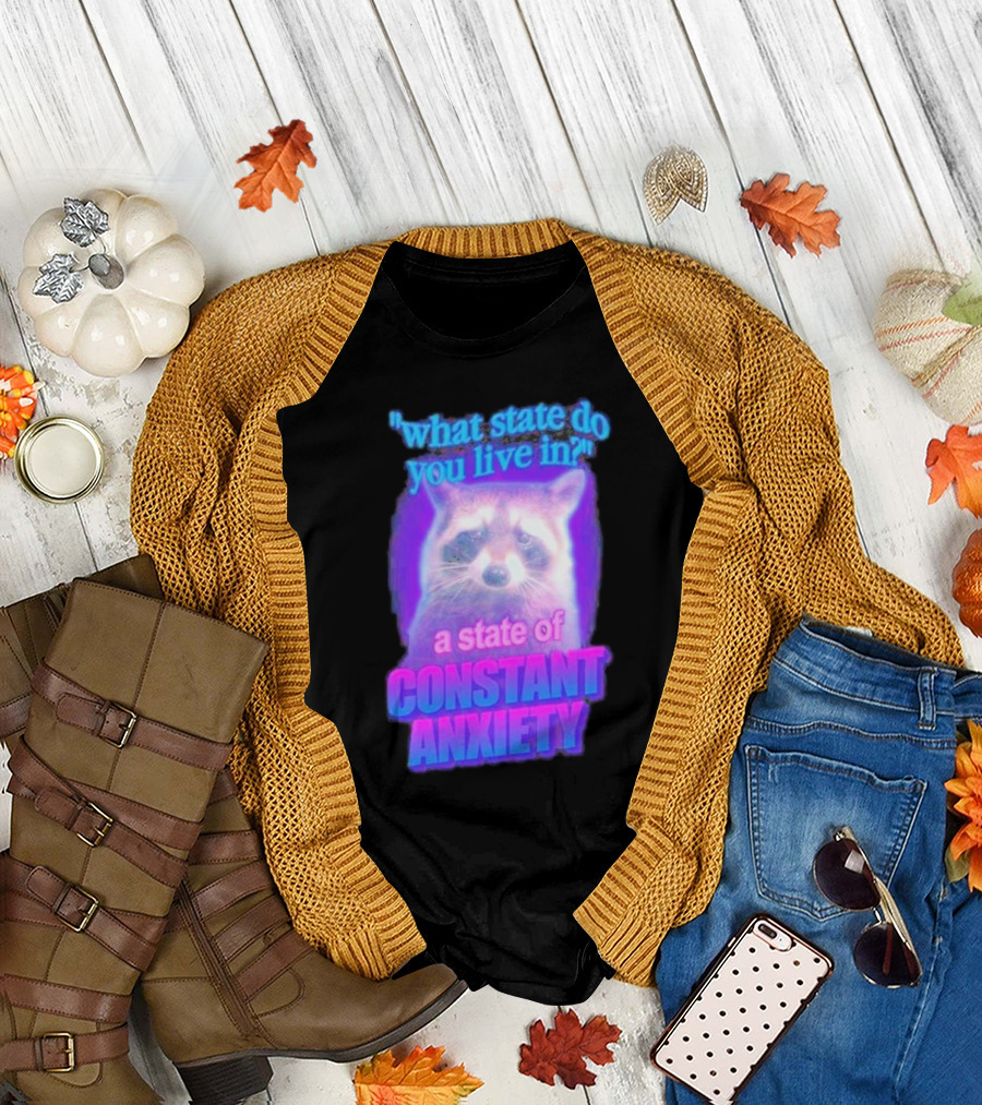 Raccoon in a State of Constant Anxiety Meme T-Shirt