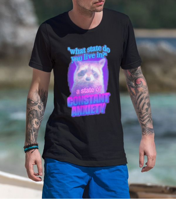 Raccoon In A State Of Constant Anxiety Meme T-Shirt