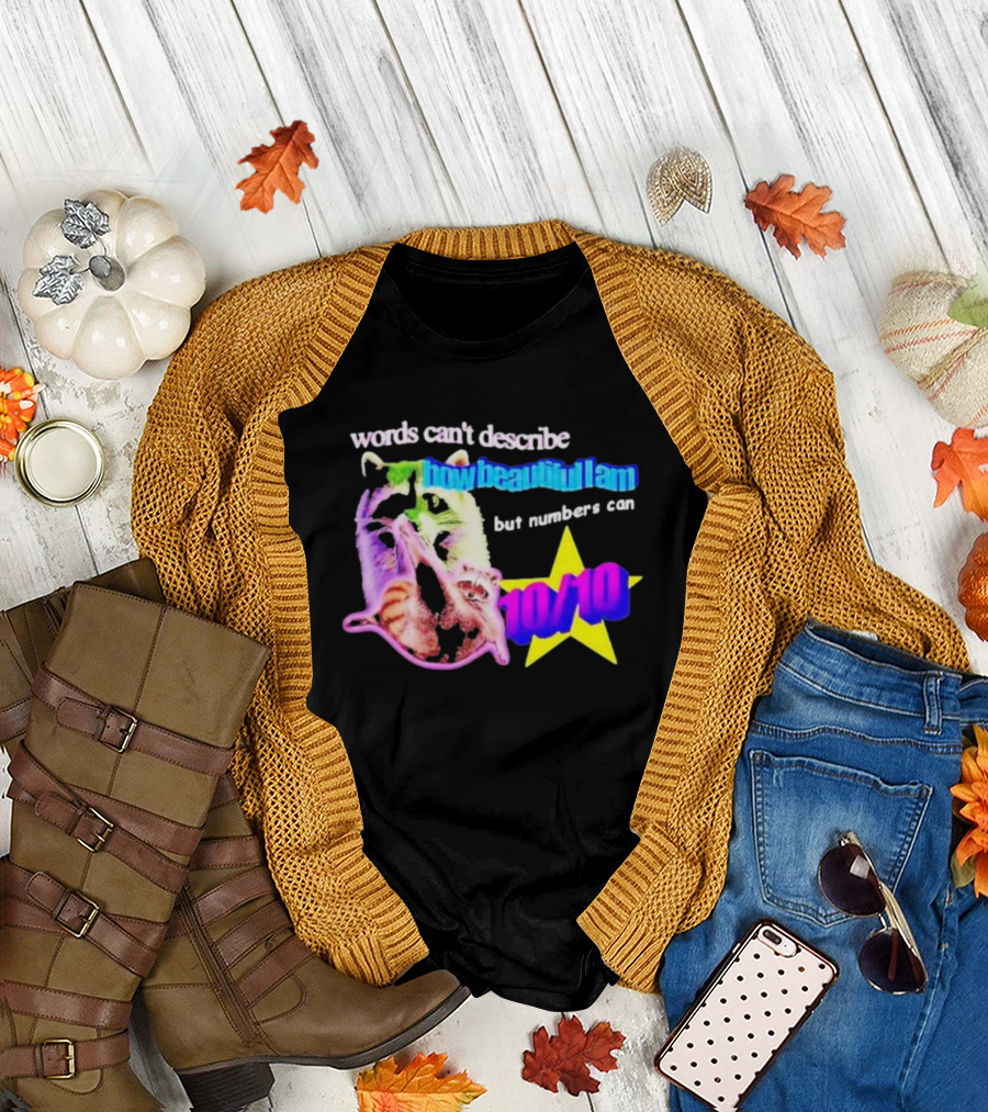 Words Can't Describe How Beautiful I Am but Numbers Can 10/10 Raccoon and Star T-Shirt